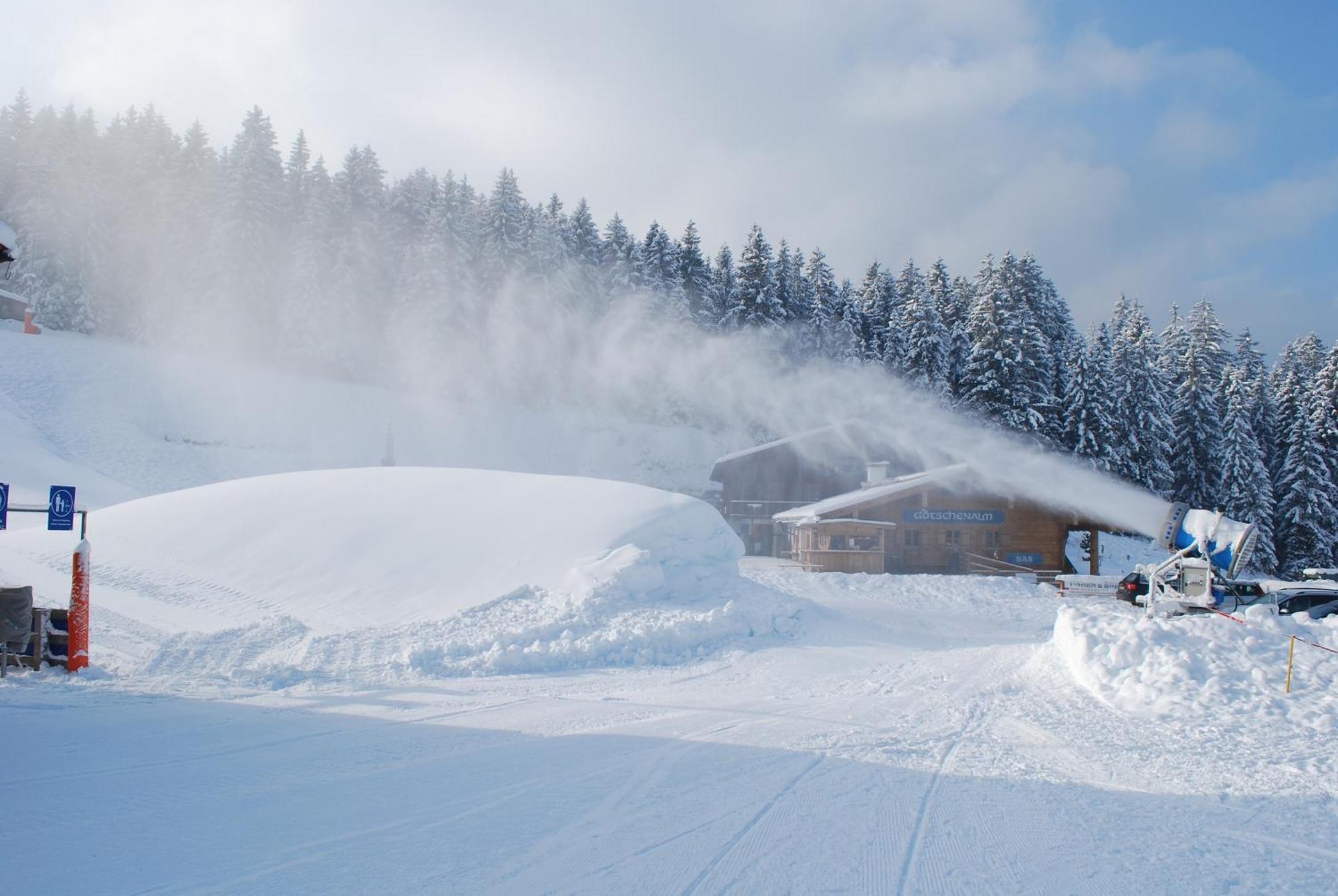 Alpengasthof Goetschenalm 비쇼프스비에젠 외부 사진