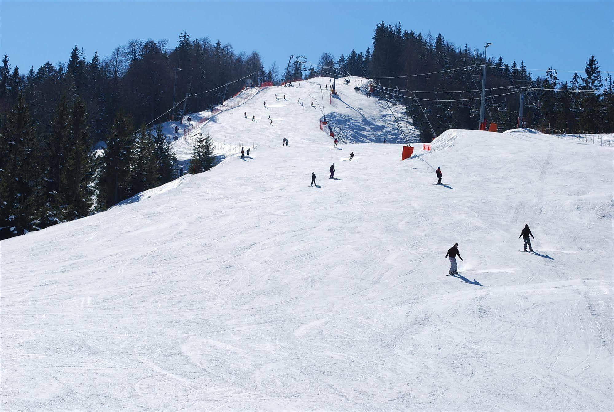 Alpengasthof Goetschenalm 비쇼프스비에젠 외부 사진