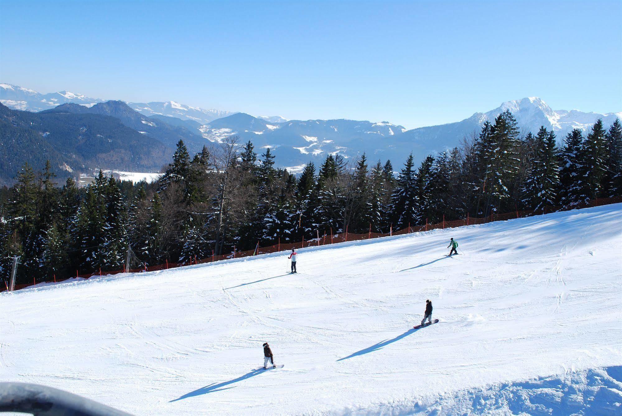 Alpengasthof Goetschenalm 비쇼프스비에젠 외부 사진