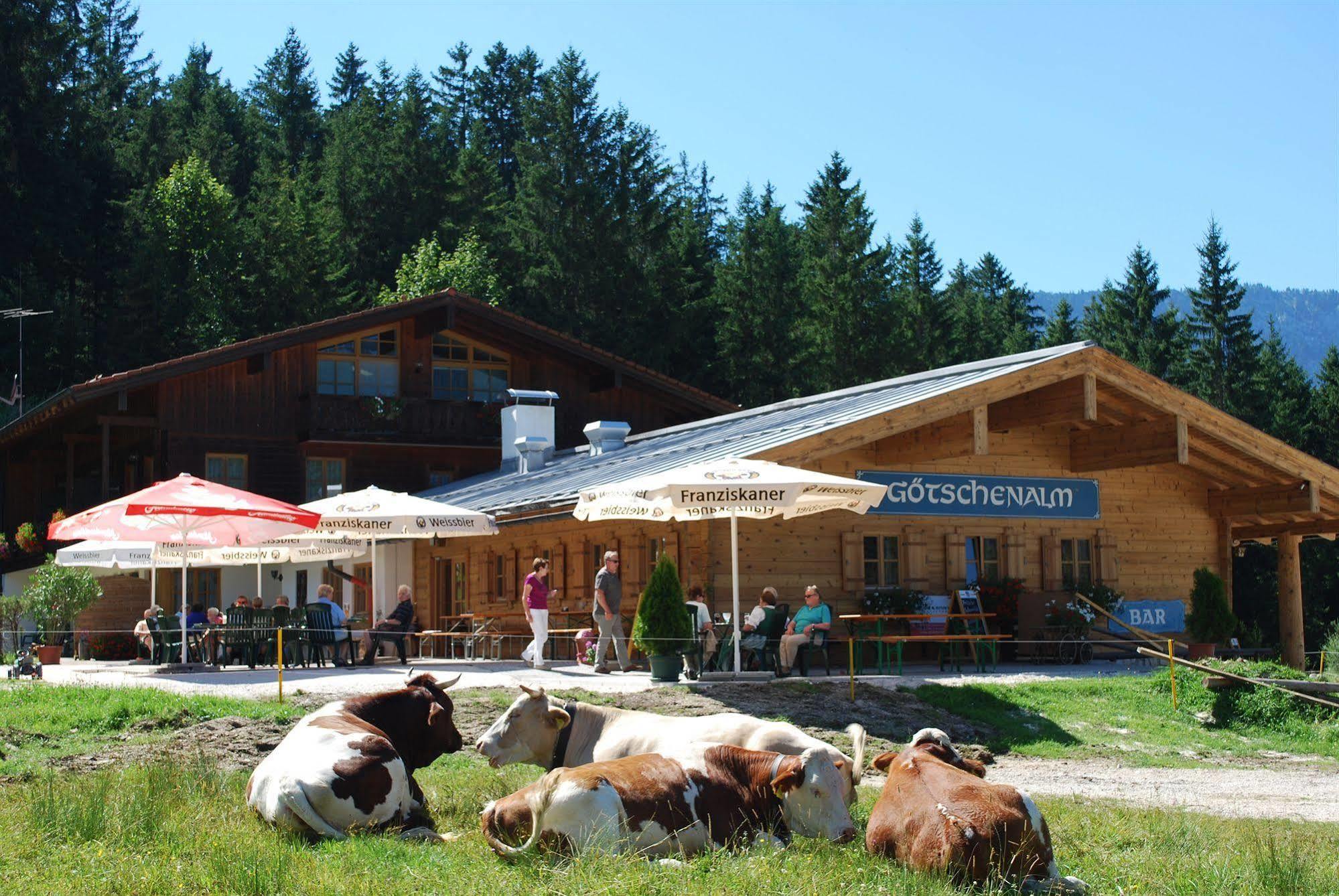 Alpengasthof Goetschenalm 비쇼프스비에젠 외부 사진
